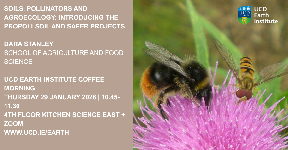 Grounds for a great coffee morning presentation... soils, pollinators and agroecology